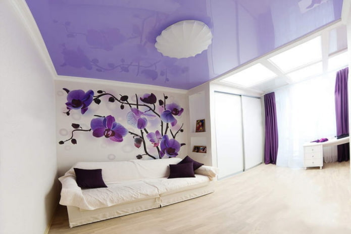 lilac ceiling in the living room