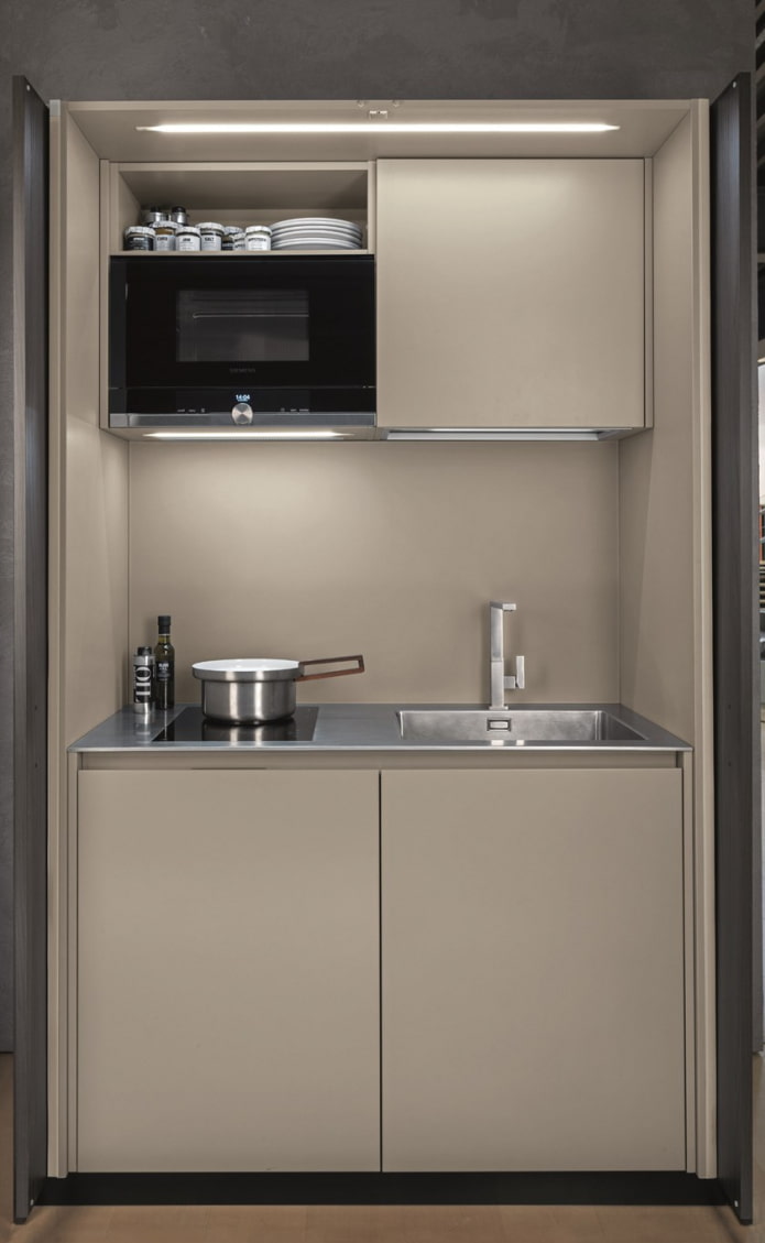 compact kitchen in a cabinet
