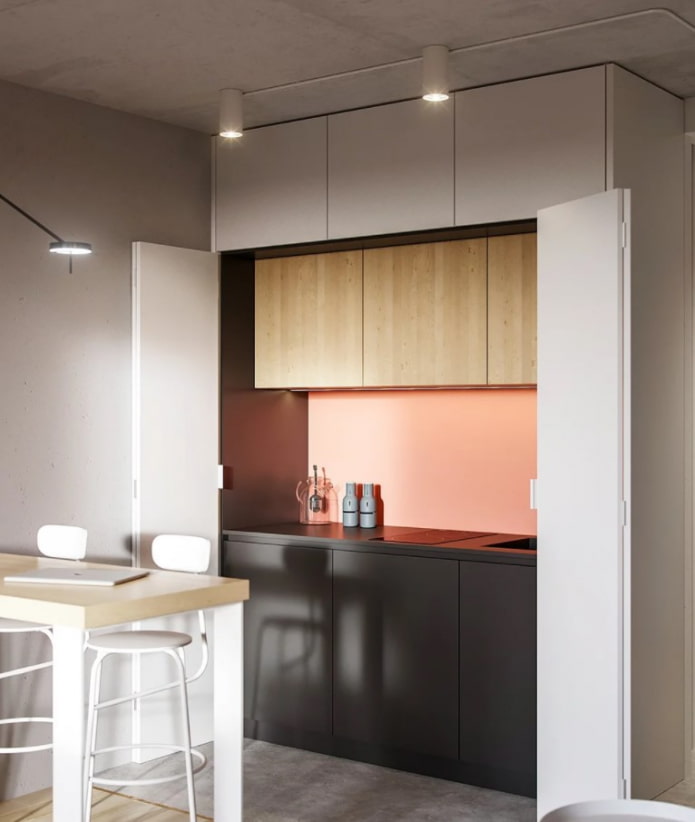 compact invisible kitchen