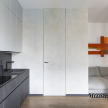 Hidden doors in the interior (pros and cons, photos and design)-4