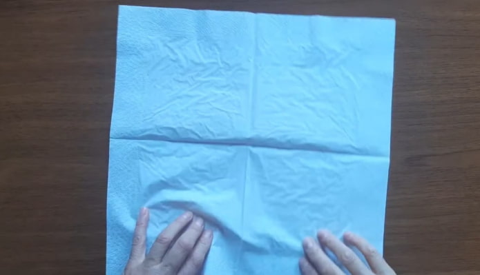 paper napkin