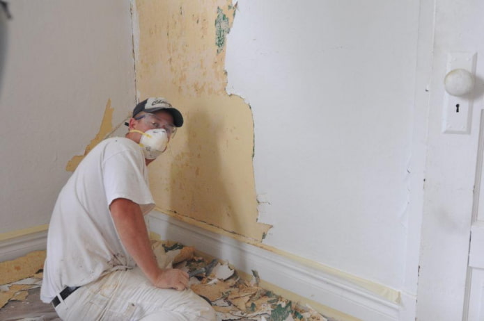 remove plaster from walls