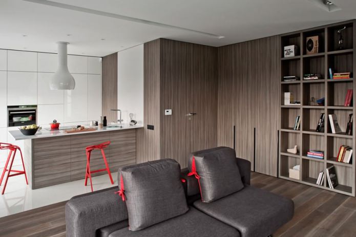 Combined kitchen-living room with a bar counter