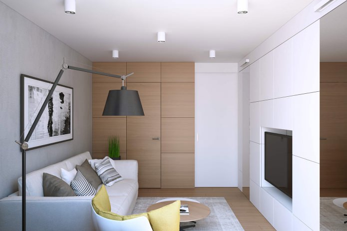 living room design in a one-room apartment of 43 sq. m.