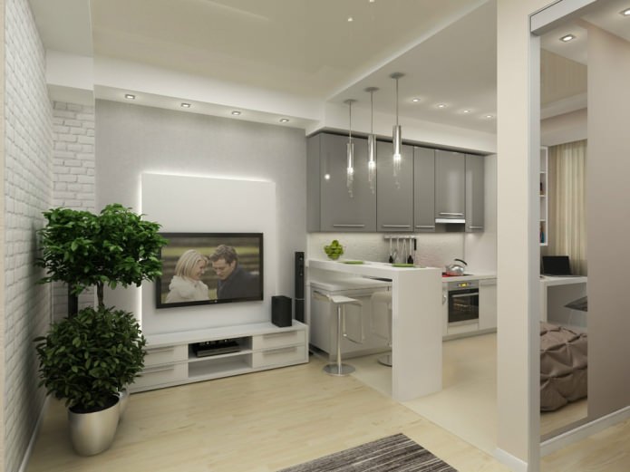 design of a one-room apartment of 45 sq. m.