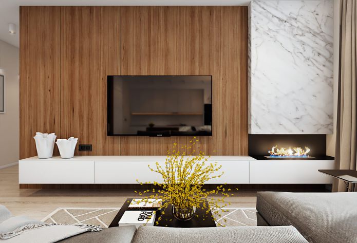 living room project with bio-fireplace