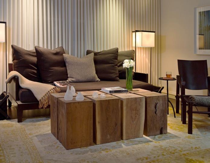 eco-style living room interior