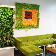 Eco-style in interior design-11
