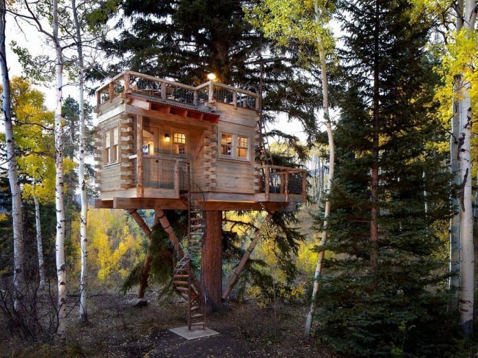 Modern houses in eco-style