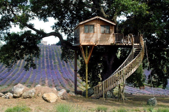 house in eco-style