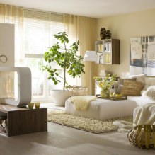 Eco-style in interior design-4