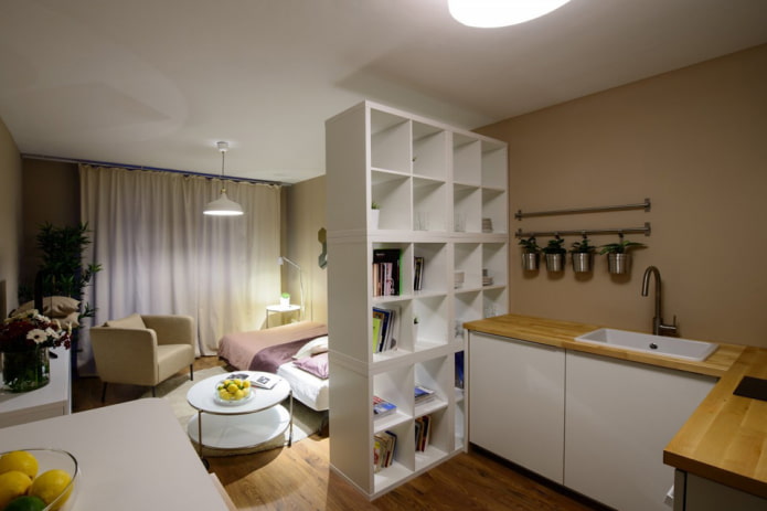 furniture in zoning kitchen-bedroom