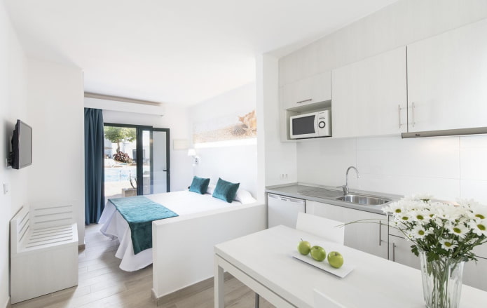 interior of a small kitchen-bedroom