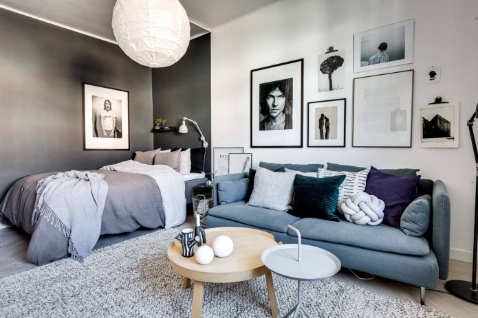 color zoning in the interior of the bedroom-living room