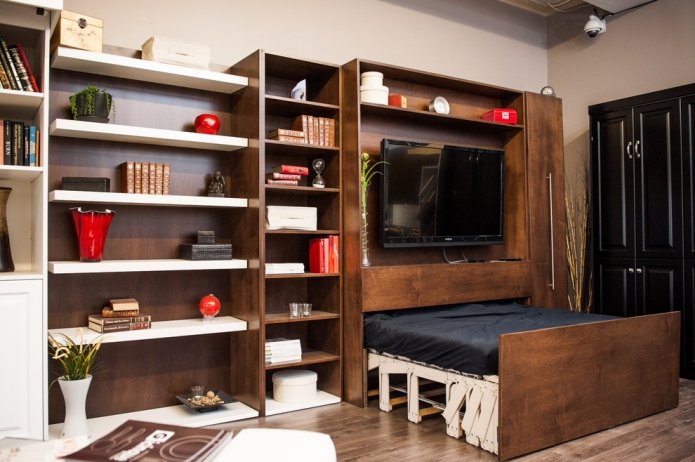 pull-out bed in the living room