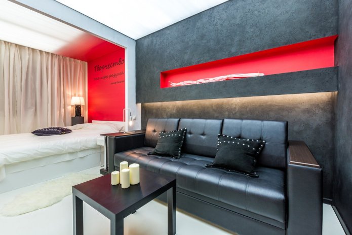 color zoning in the interior of the bedroom-living room