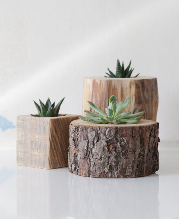 Planters for succulents