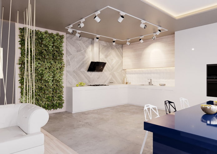 spots in the design of the kitchen-living room