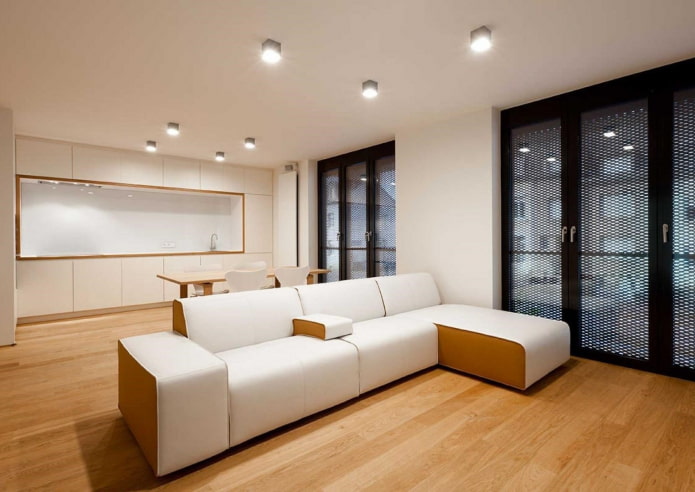 spots in the design of the kitchen-living room