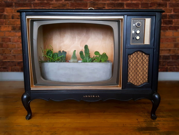 Place for house plants