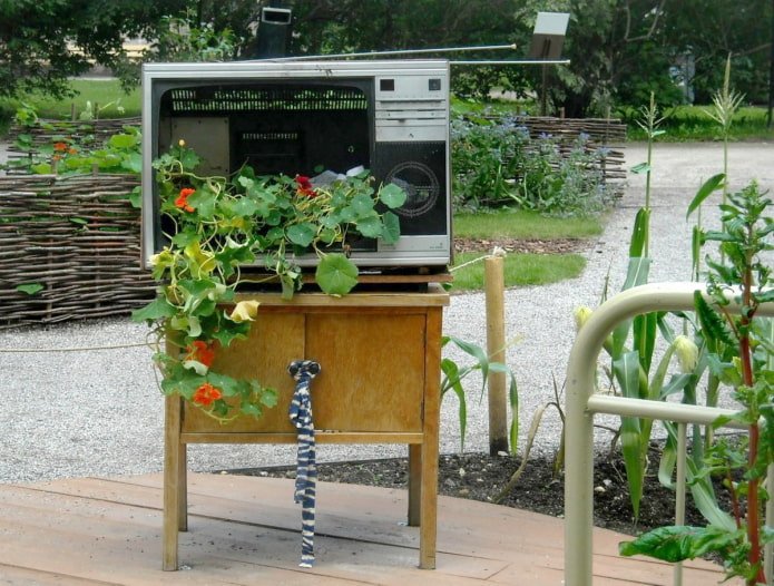 Flowerbed from an old TV