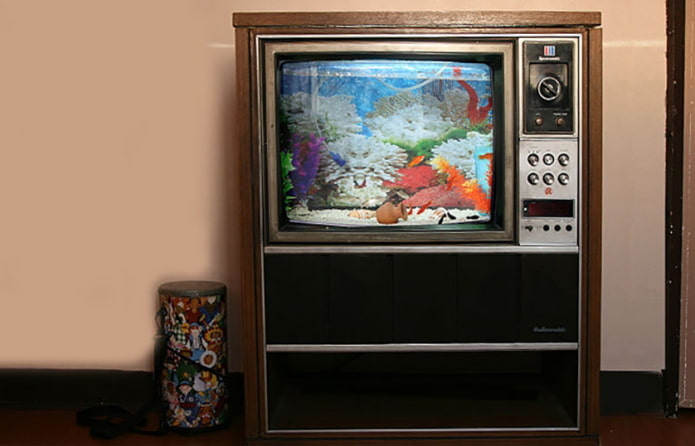 Aquarium from the TV