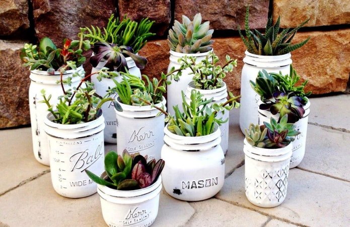 flower pot