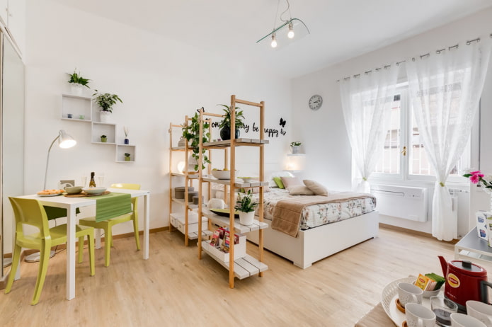zoning of a 36-square-meter apartment