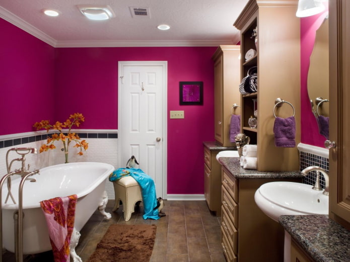 painted walls in the bathroom interior