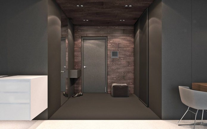 hallway in a studio of 50 sq. m.