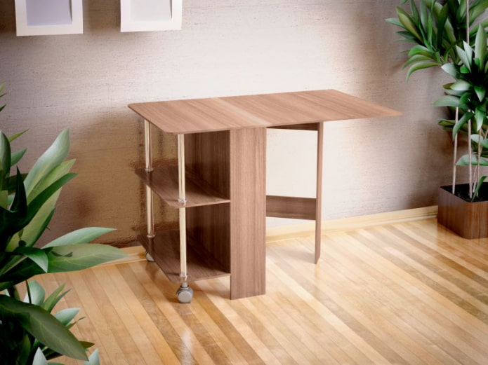 book-model with shelves in the interior