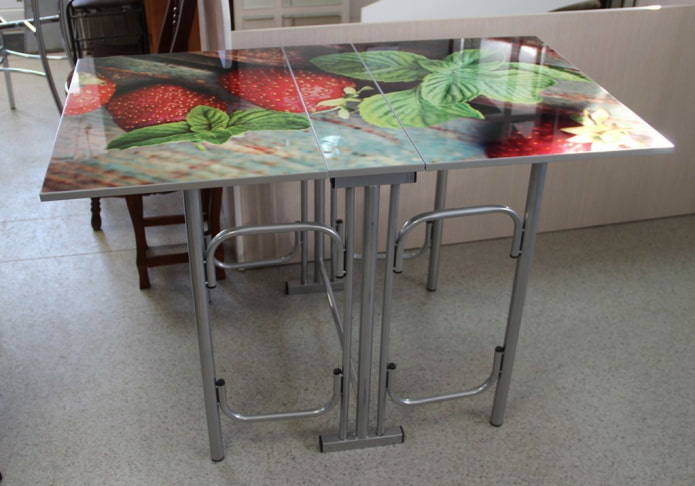 book-style model with photo printing in the interior