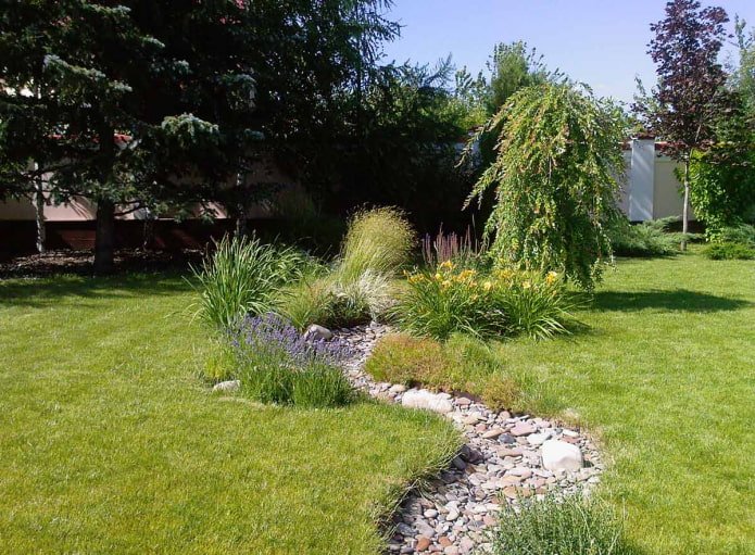 stream of stones in the grass