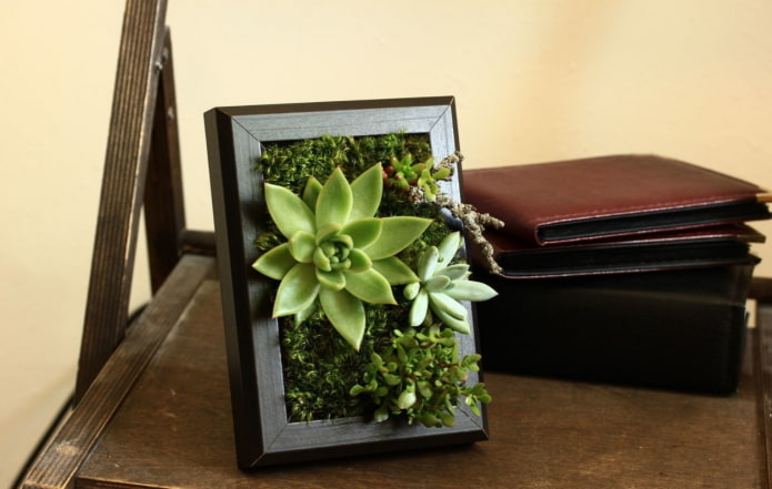 painting of succulents