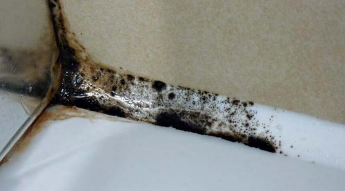 mold in the bathroom