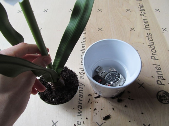 hiding place in a pot