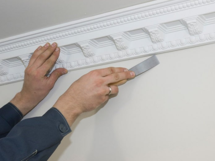 ceiling plinth