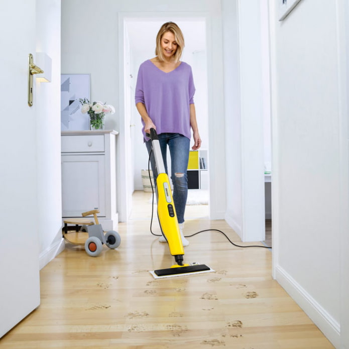Steam mop