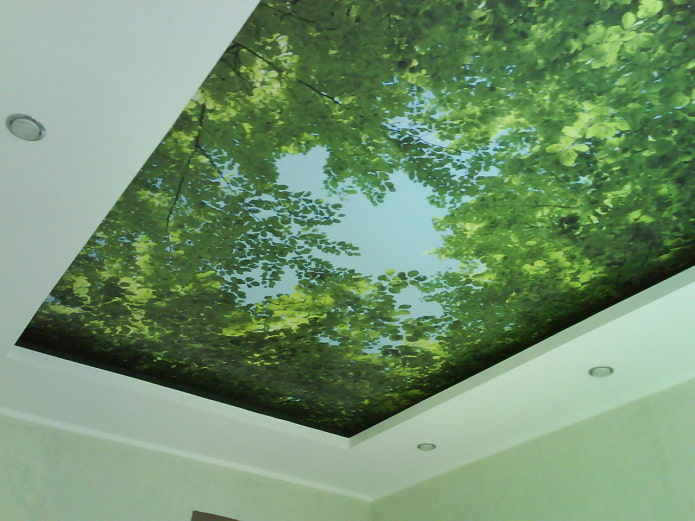 textured stretch ceiling with greenery