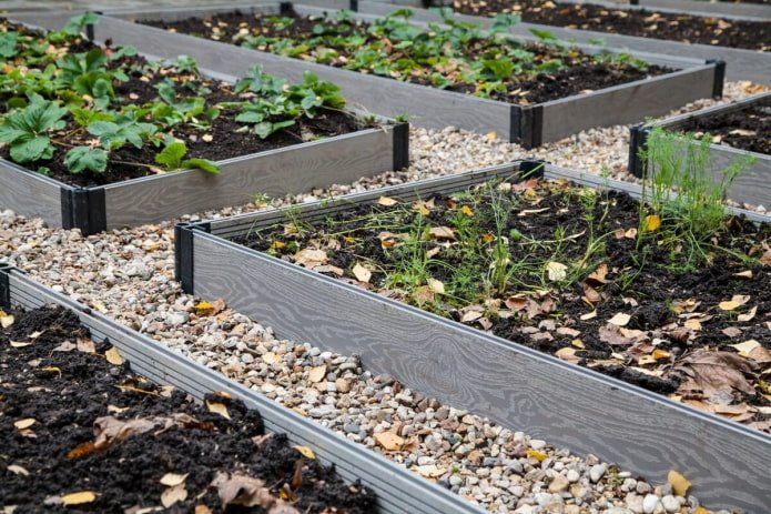beautiful beds in the garden