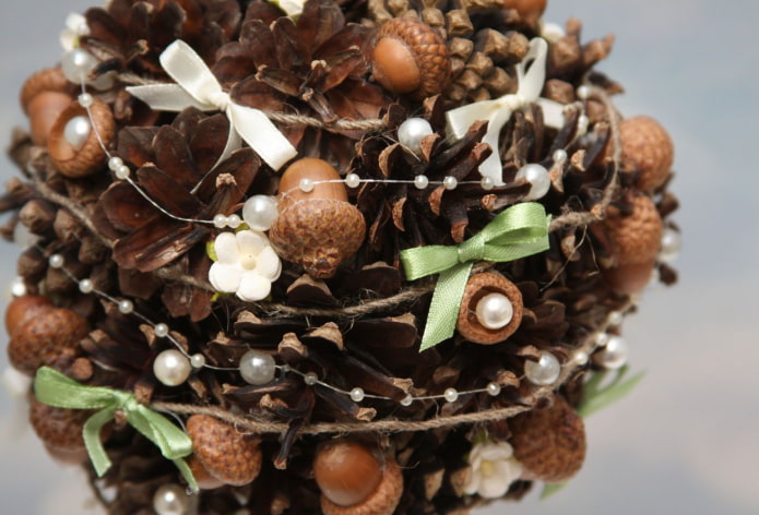 Pine cones and acorns