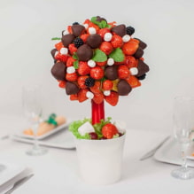 How to make a topiary with your own hands?-0