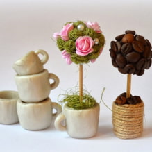 How to make a topiary with your own hands?-2