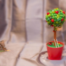 How to make a topiary with your own hands?-3