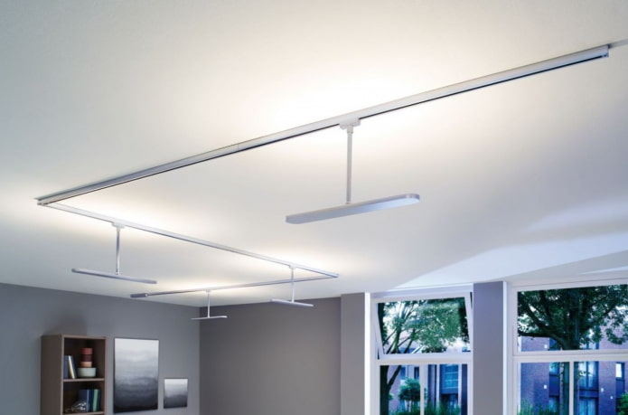 track light with fluorescent lamp