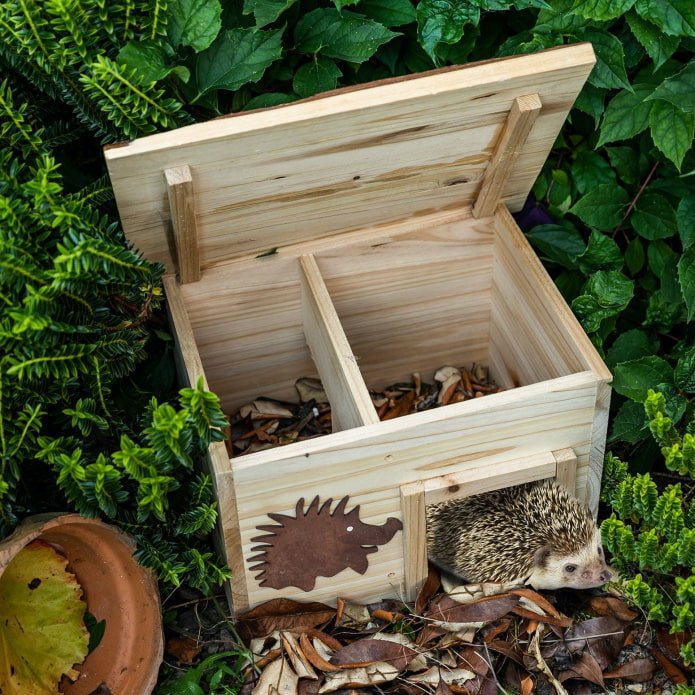 Hedgehog House