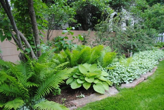 Low-maintenance garden