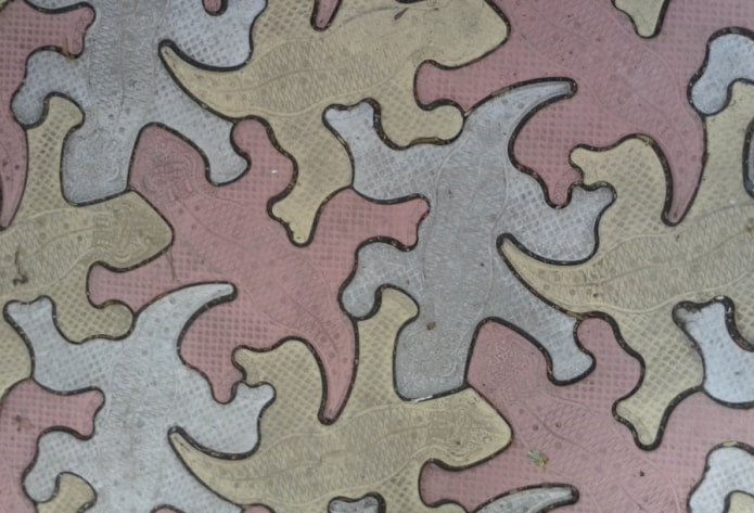 lizard-shaped paving slab