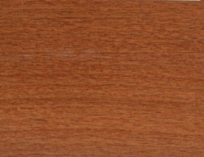 golden walnut texture