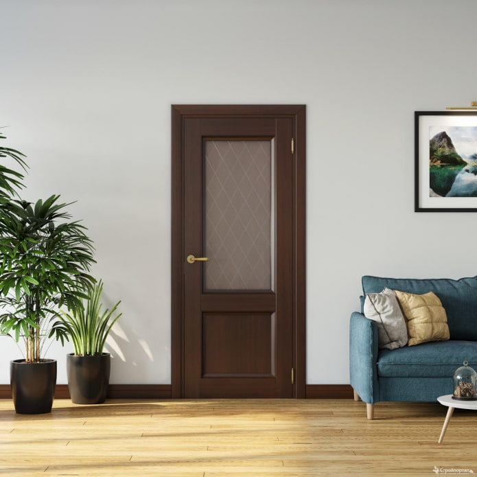 dark door with glass